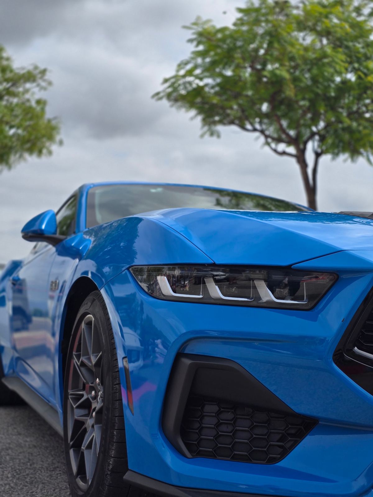 Ford Mustang azul con la pintura brillante reflejando los árboles
