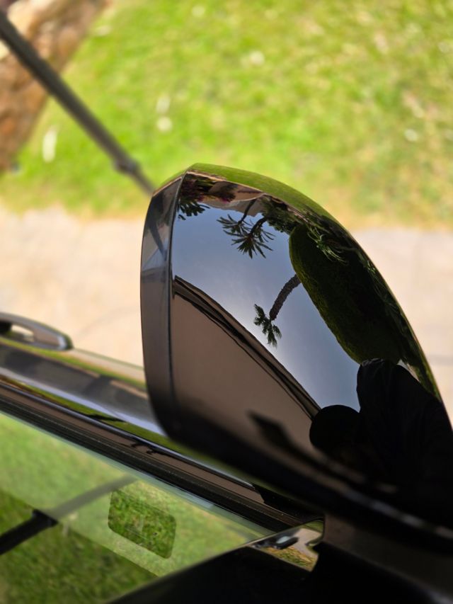 A corrected gloss black wing mirror reflecting palm trees