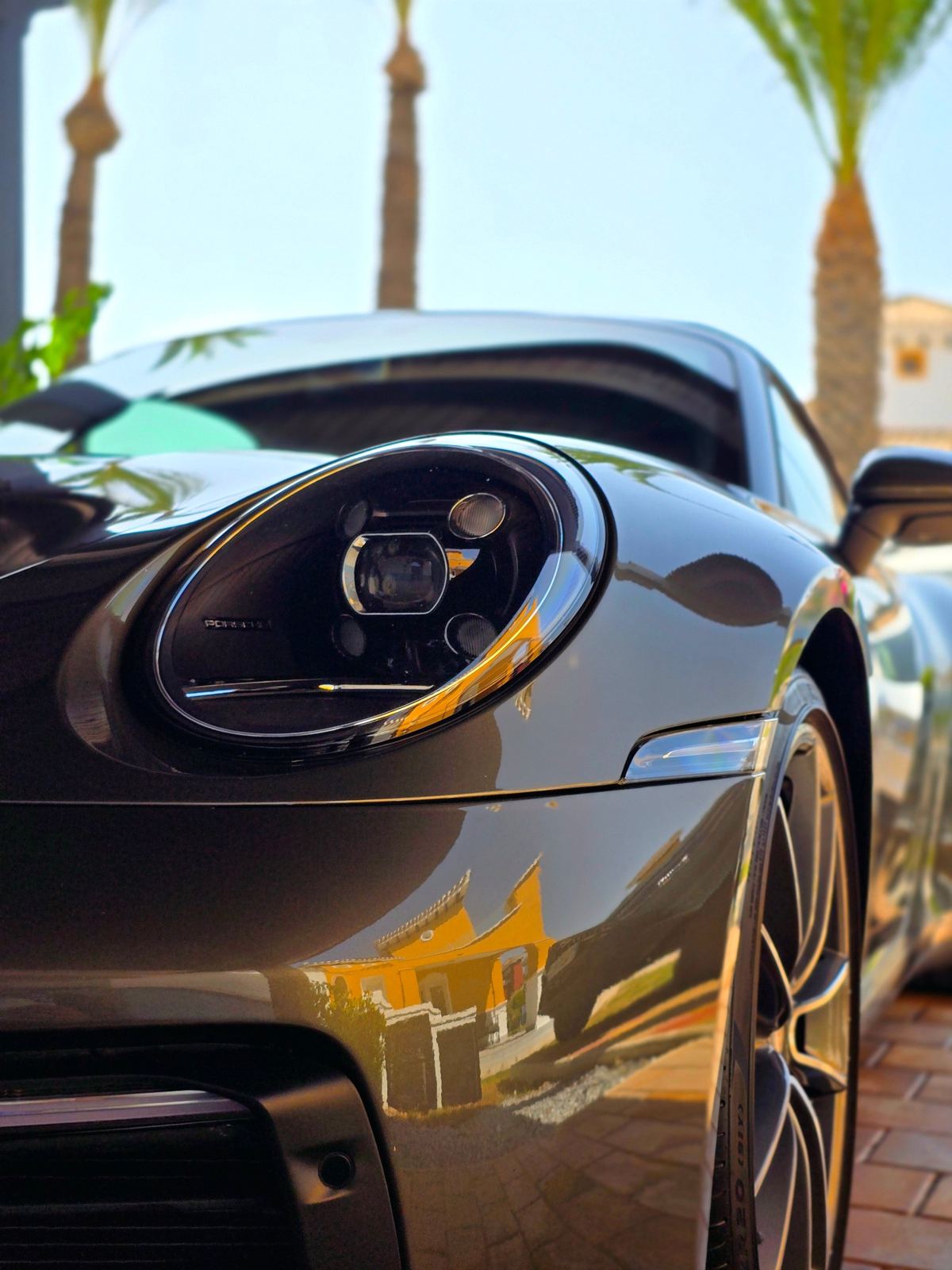 Palm trees reflected in the corrected, coated paint of a Porsche 911